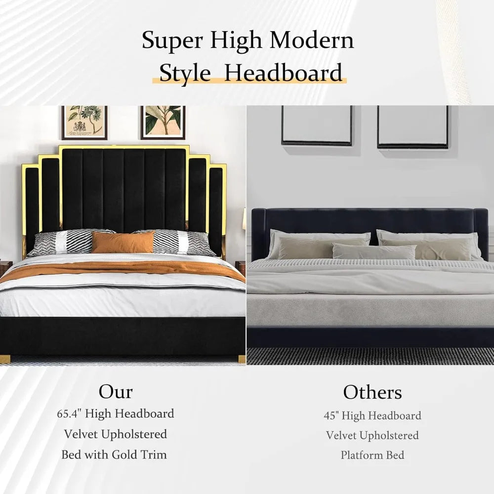 California King Velvet Bed with Gold Trim